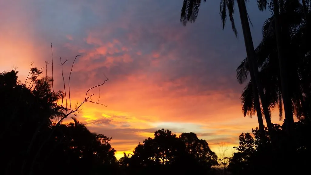 Guest house Sunshine Coast Tropical Getaway Hotel Buderim